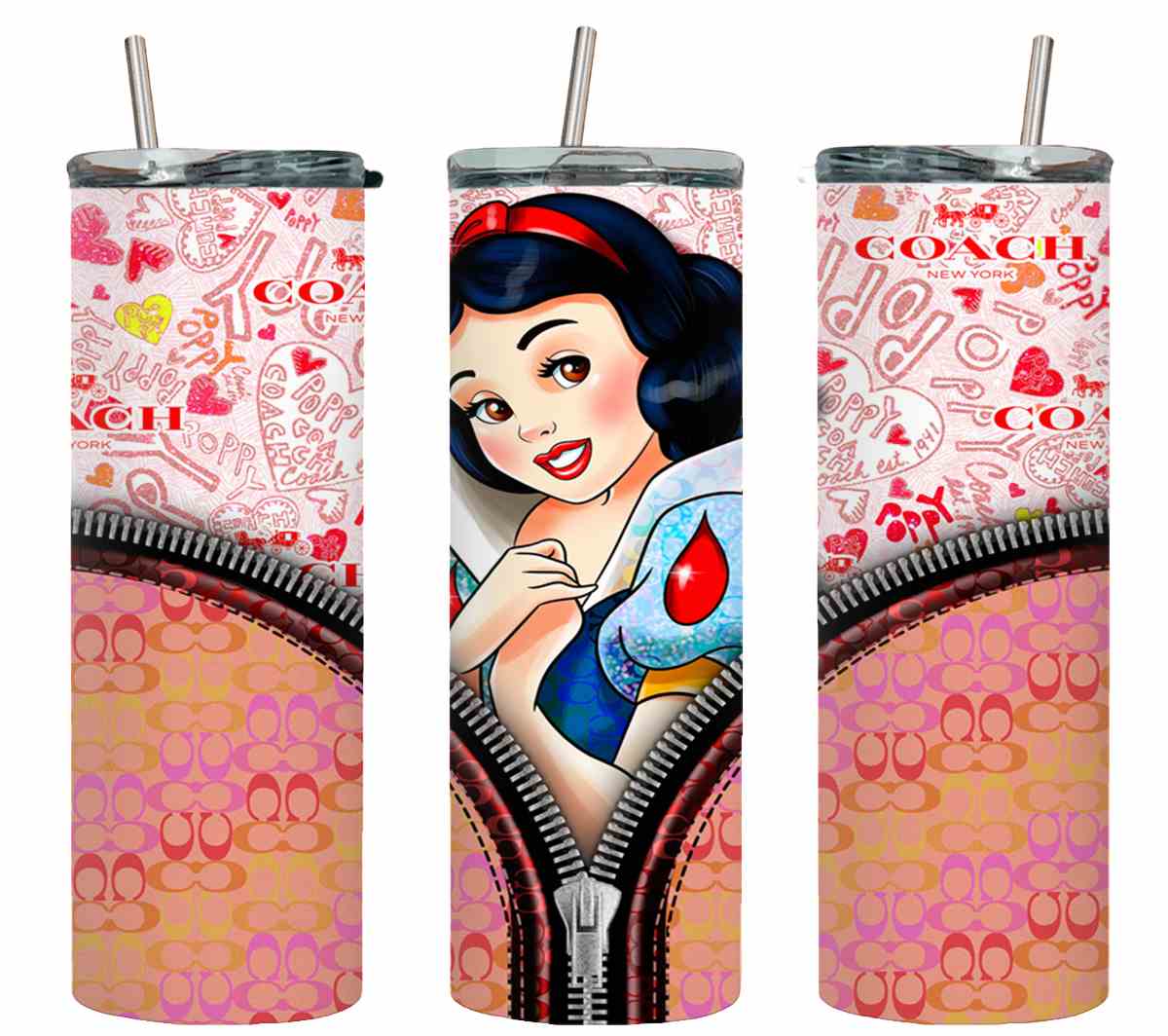 Princess Zipped-11169